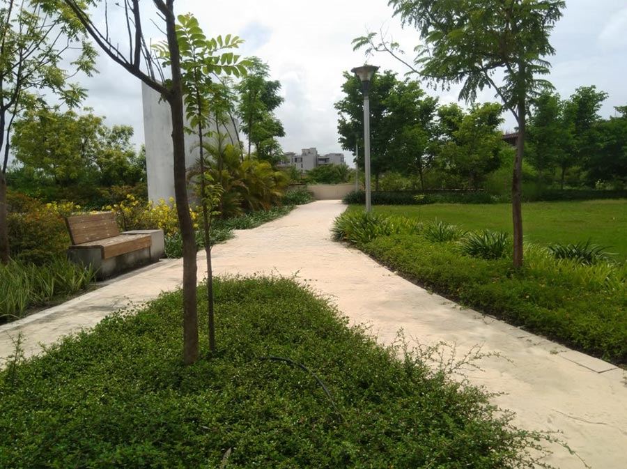 A tree-lined walking path between lawns inside Ensaara Metropark