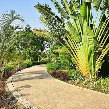 Jogging Track - Willow Homes - Ensaara Metropark