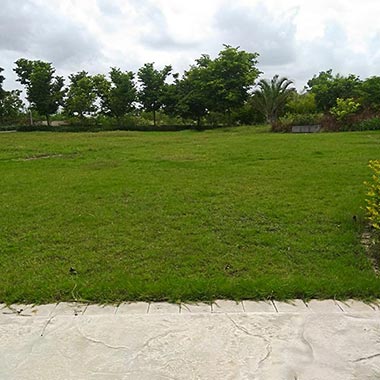 Multipurpose-Lawn - Willow Homes - Ennsaara Metropark