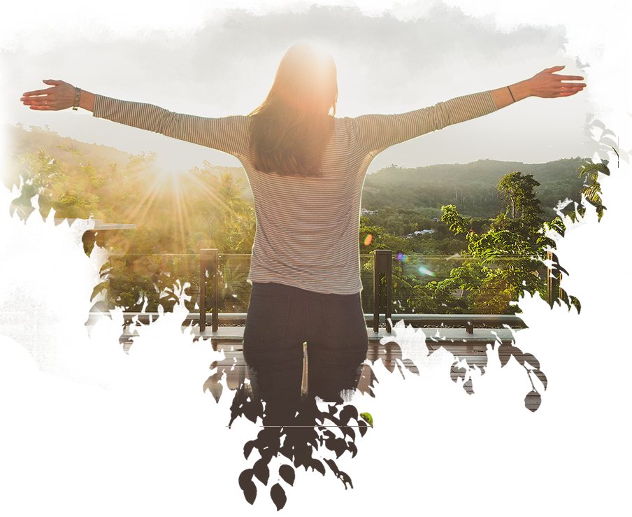 Introduction - Willow Homes - Ensaara Metropark